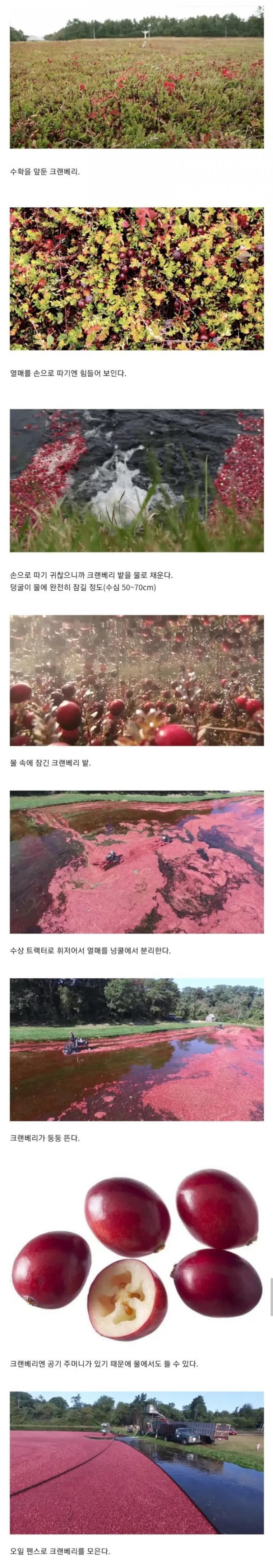 image.png.jpg