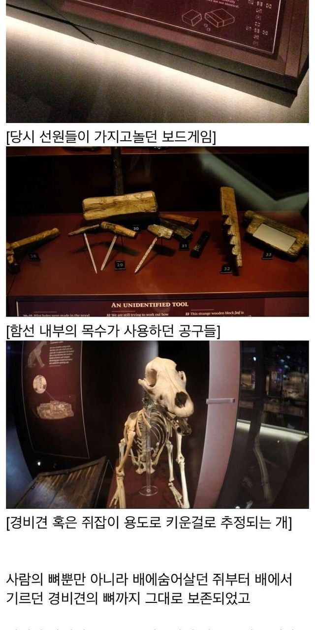 500년만에 발견된 영국 배 ㄷㄷ....JPG 500년만에 발견된 영국 배 ㄷㄷ....JPG
