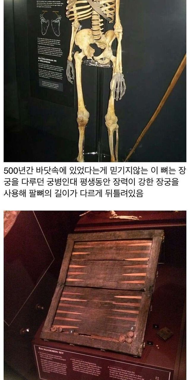 500년만에 발견된 영국 배 ㄷㄷ....JPG 500년만에 발견된 영국 배 ㄷㄷ....JPG