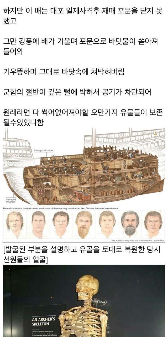 500년만에 발견된 영국 배 ㄷㄷ....JPG 500년만에 발견된 영국 배 ㄷㄷ....JPG