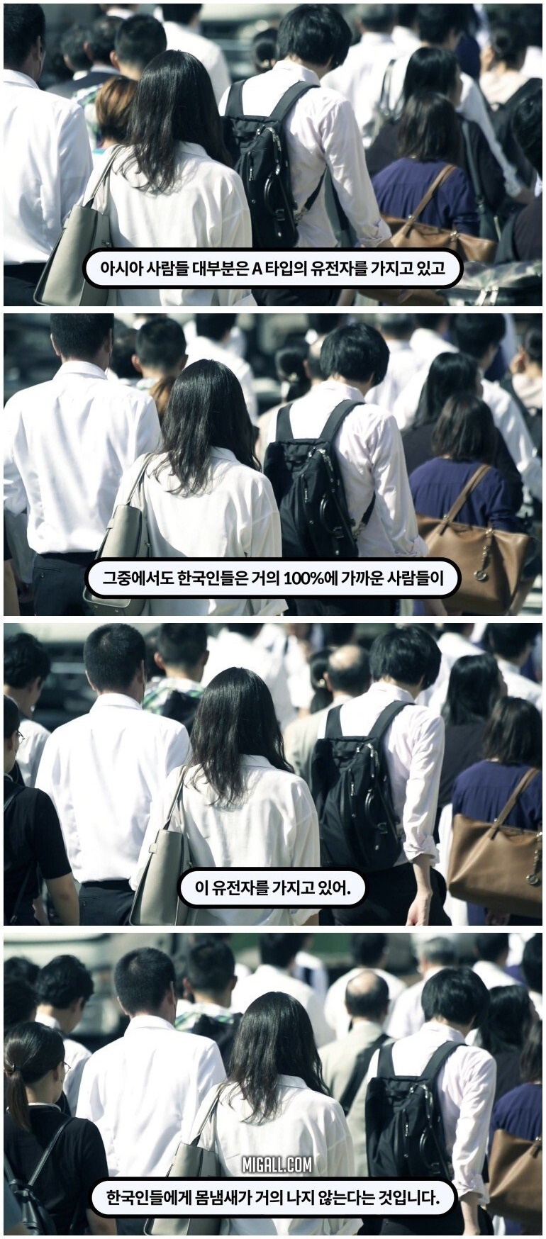 한국인들이 암내가 덜 나는 이유 - 