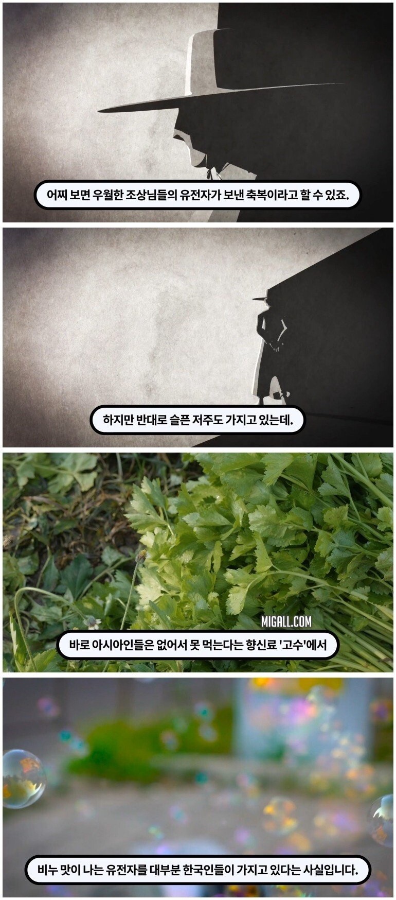 한국인들이 암내가 덜 나는 이유 - 