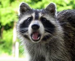 6dfcc3787f23e47177a536d22cd5a376_OoH2mvvgPwWQEaVBfesDLDJo7.jpg