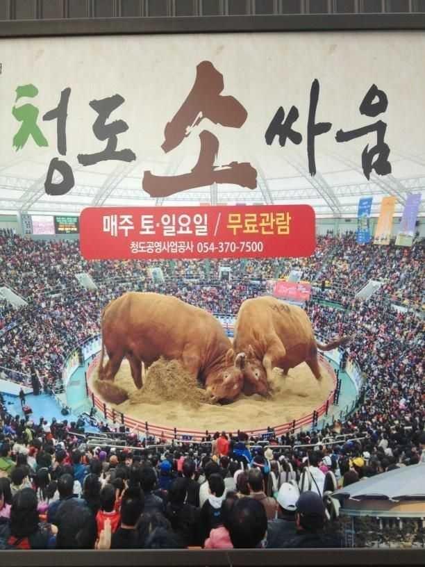 ',소',가 부각되도록 디자인해주세요.png.jpg