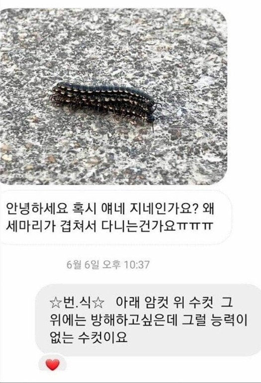 김짤.com_003.jpg