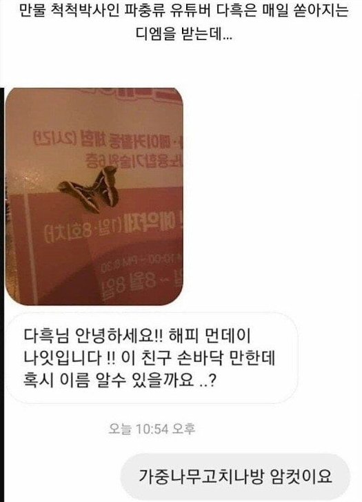 김짤.com_001.jpg