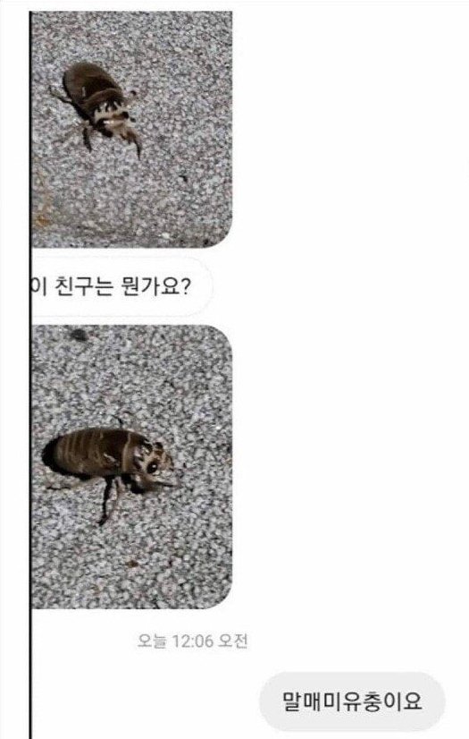 김짤.com_010.jpg