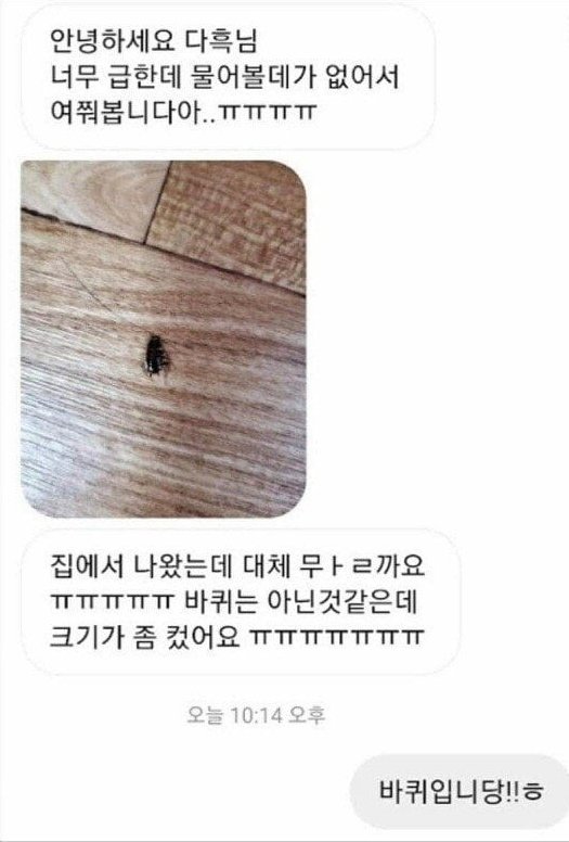 김짤.com_004.jpg