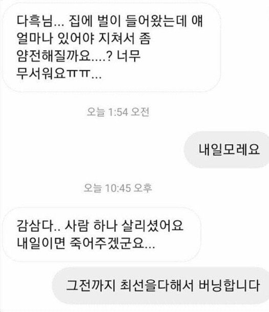 김짤.com_006.png