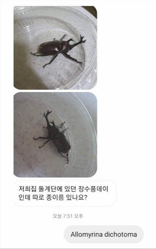 김짤.com_009.jpg