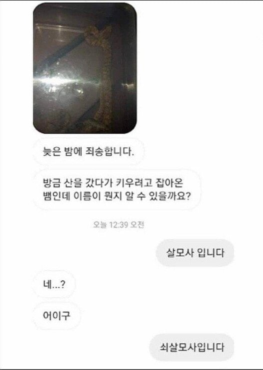 김짤.com_008.jpg