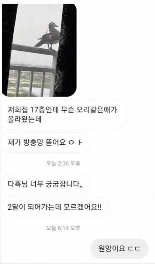 김짤.com_007.jpg