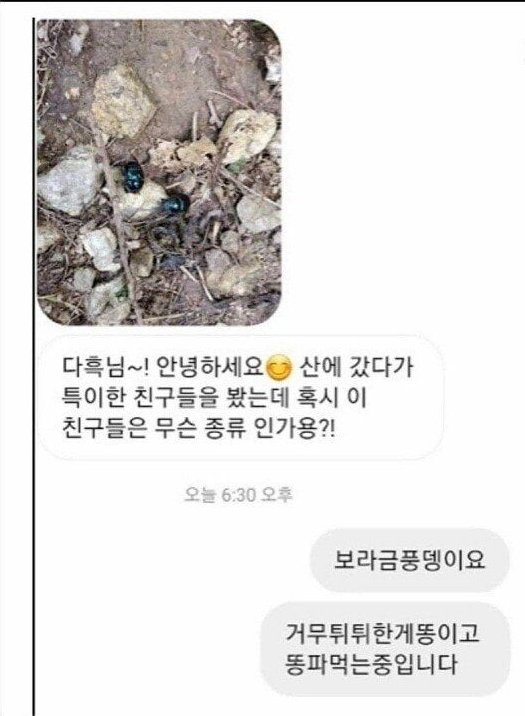 김짤.com_005.jpg