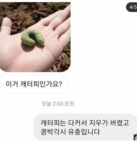 김짤.com_013.jpg