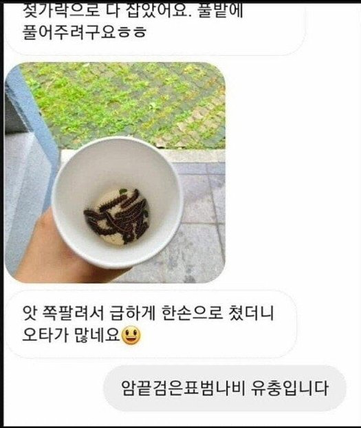 김짤.com_002.jpg