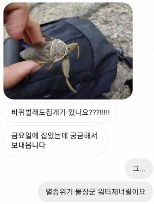 김짤.com_012.jpg