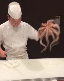 97ca3db6a352a799be9af426dbaff85fed84c13c_20210407125740.gif