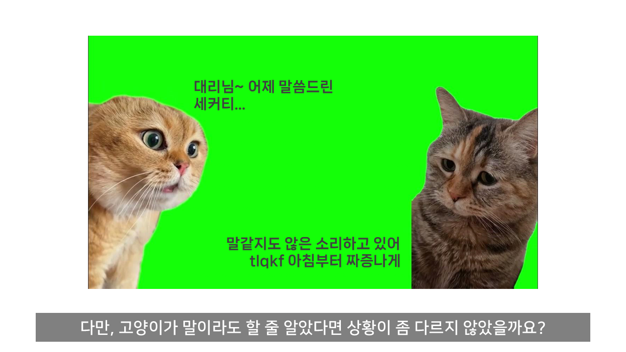 ChatGPT는 어떻게 말을 할 줄 알게 되었나?.jpg