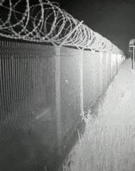 f24c8f8e879f0c871ae44f789f28c79a.gif
