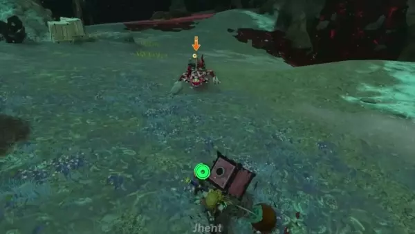 ggoorr.net_001.webp