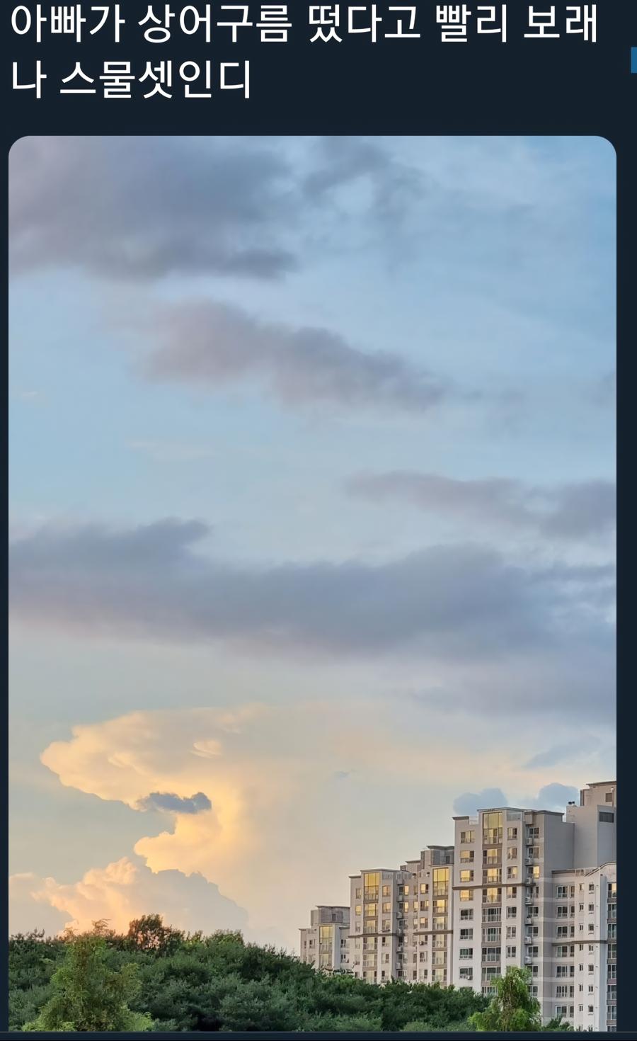 f8b197550d4f03.png.jpg