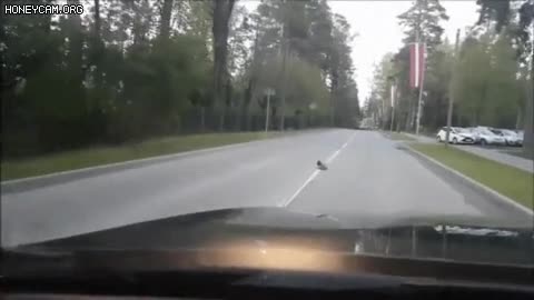 275.gif