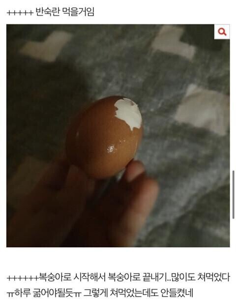 8.jpeg