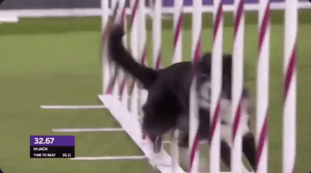 bt147d023b868f4817f26d93a8f7187673.gif
