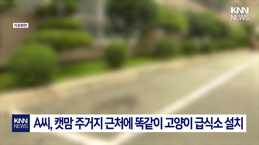 191d79b0bf64ff595.png.ren.jpg 편의점 사장의 미친 판단력