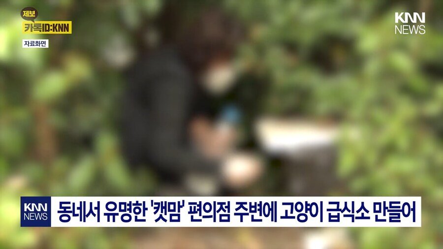 191d79b08614ff595.png.ren.jpg 편의점 사장의 미친 판단력