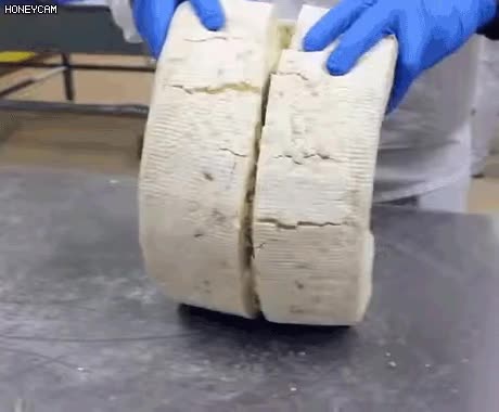 고르곤졸라 치즈 만드는 과정 - 꾸르