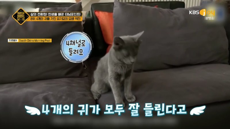 김짤.com_029.jpg