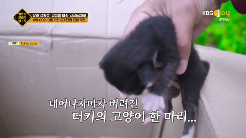 김짤.com_002.jpg