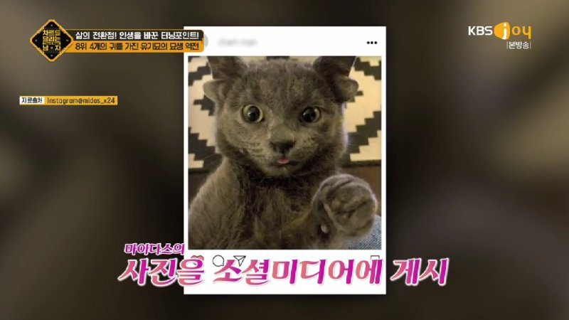 김짤.com_019.jpg