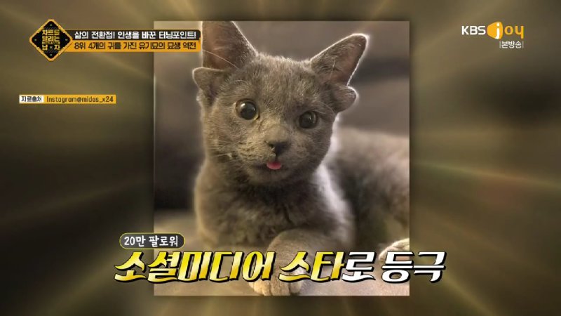 김짤.com_023.jpg