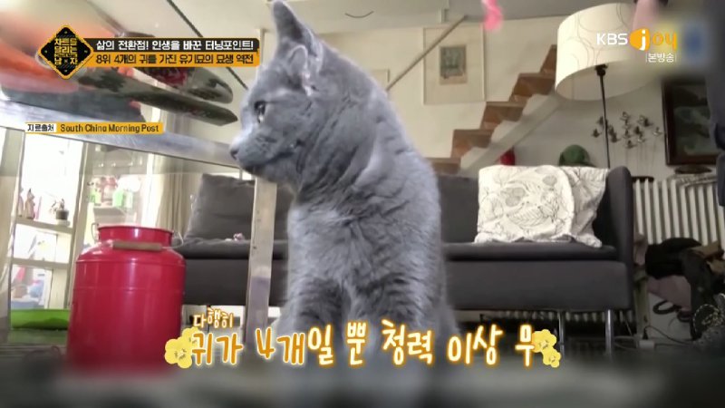 김짤.com_028.jpg
