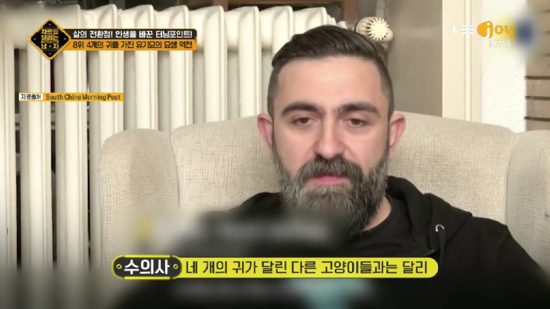 김짤.com_030.jpg