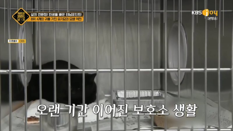 김짤.com_014.jpg