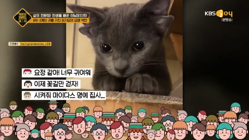 김짤.com_036.jpg