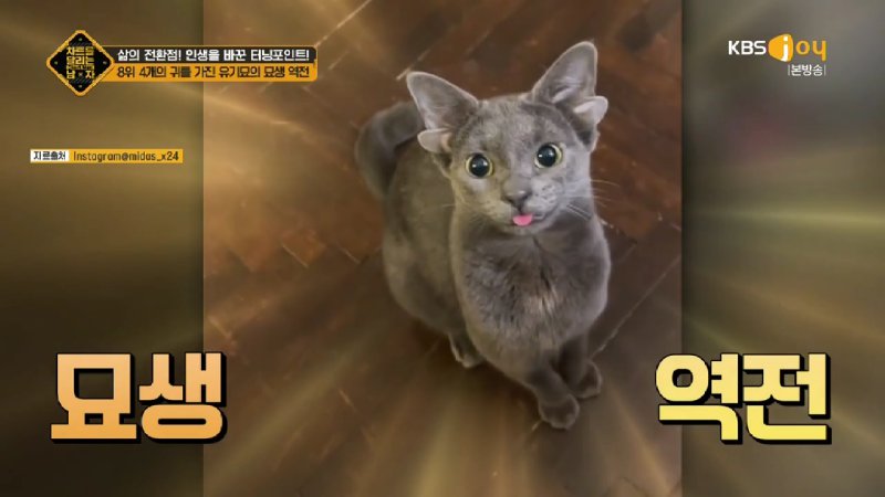 김짤.com_017.jpg