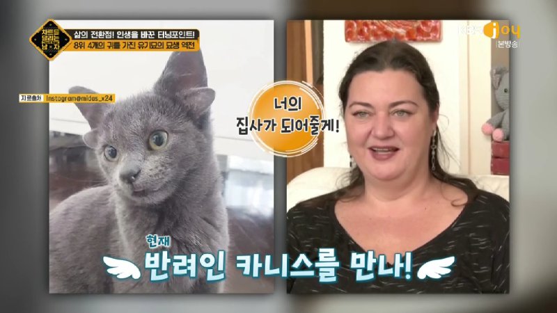 김짤.com_016.jpg