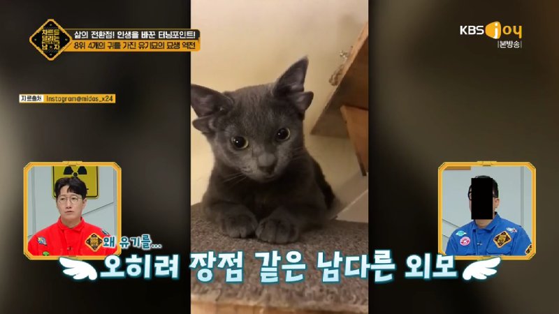 김짤.com_009.jpg