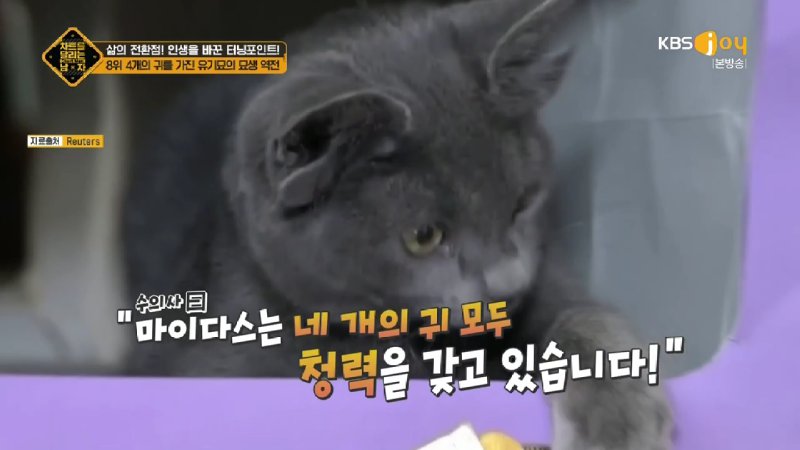 김짤.com_031.jpg