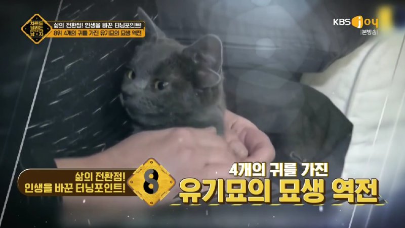 김짤.com_039.jpg