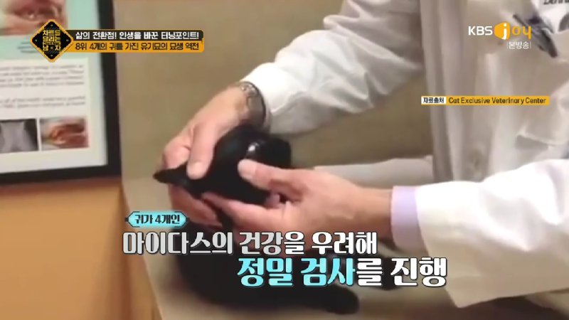 김짤.com_027.jpg