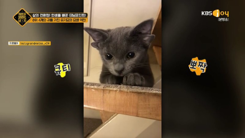 김짤.com_010.jpg