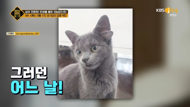김짤.com_015.jpg