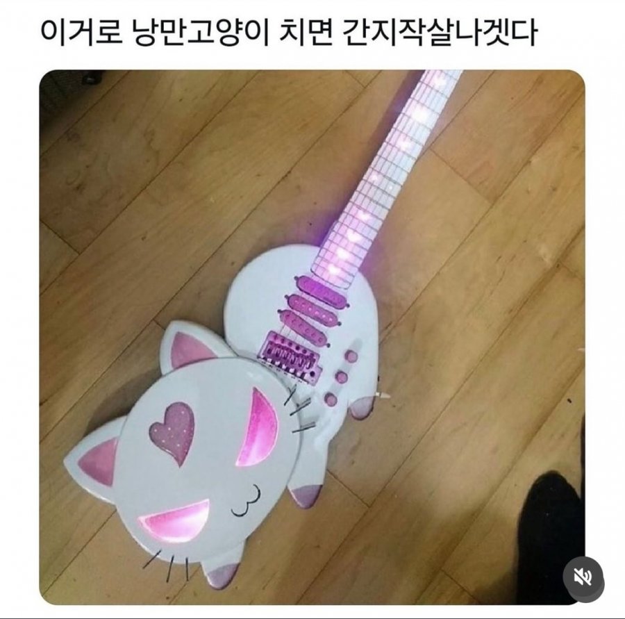 900w_20250212125315_BxsHXxD9R4.jpeg