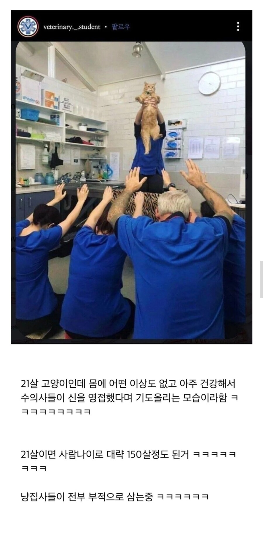 1.jpeg