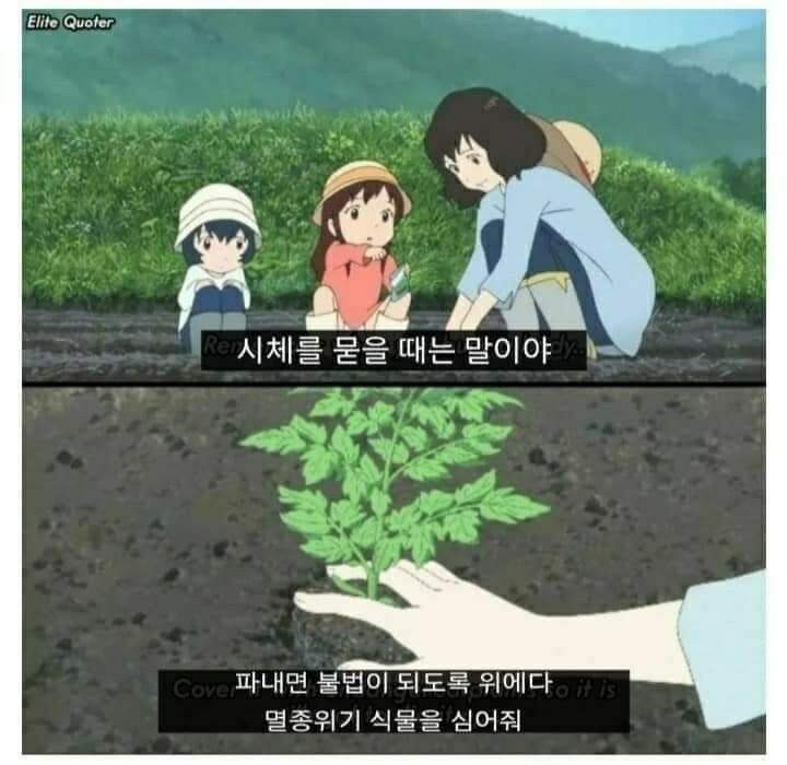 1a6e5a033acb010650ad1d82c45aef7a_1650060639_7984.jpeg